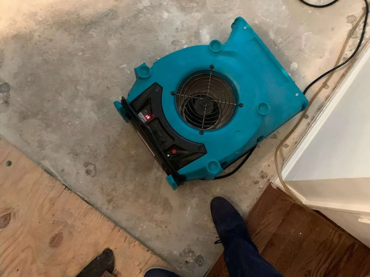 Air mover drying subfloor during Leak Detection & Repair in Hoschton