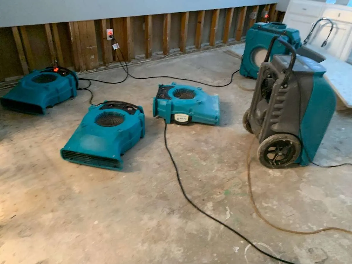 Water Mitigation Services in Hoschton, GA